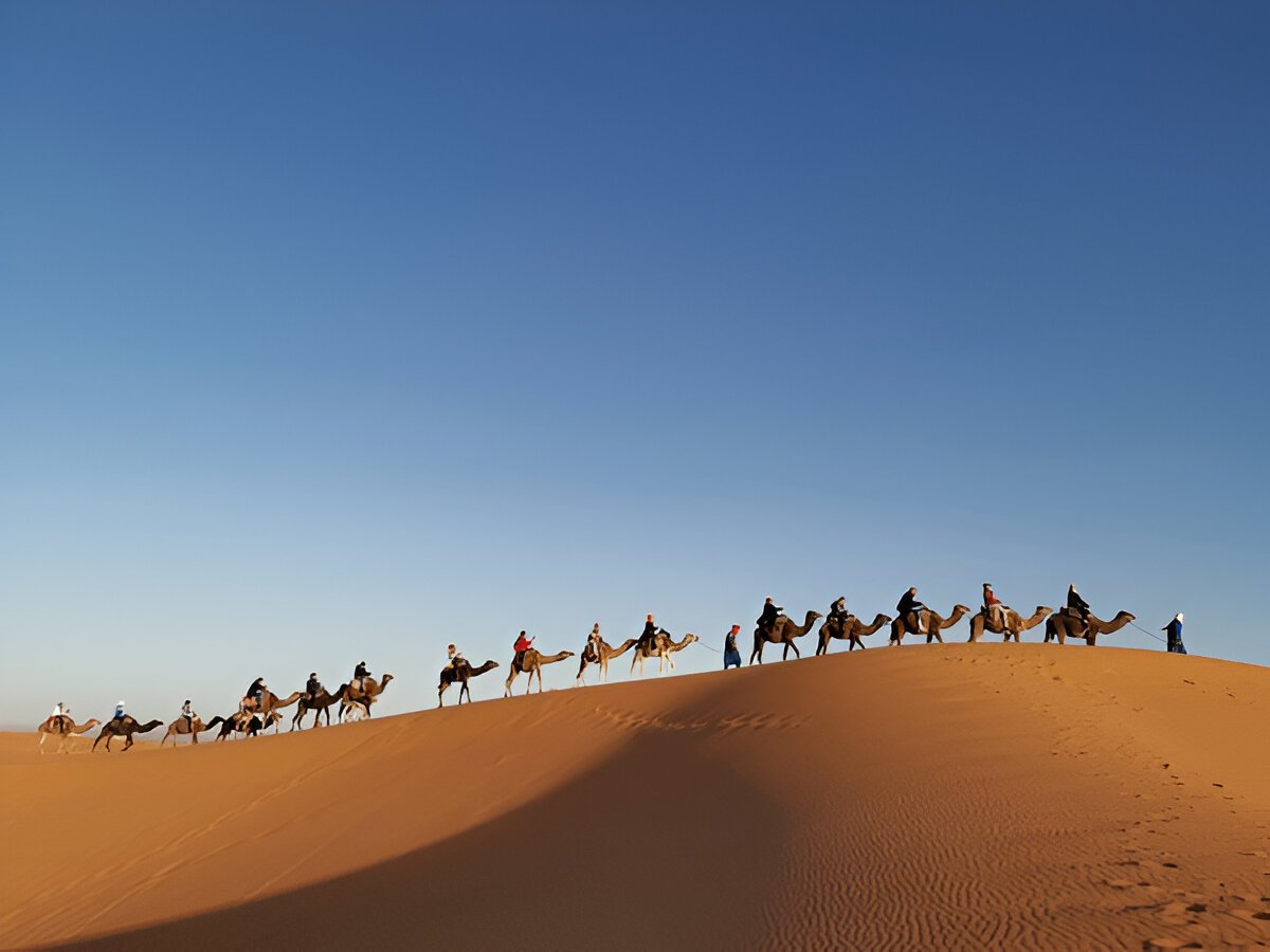 Camel Ride Marrakech